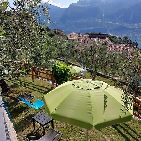 Ulivi Sul Garda Garden By Gardadomusmea * Tremosine