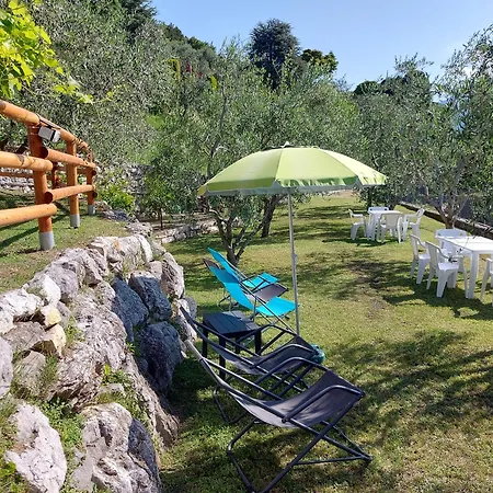 Ulivi Sul Garda Garden By Gardadomusmea 아파트 *