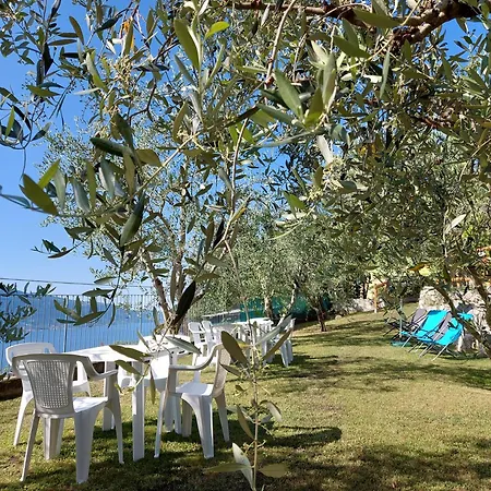 Ulivi Sul Garda Garden By Gardadomusmea 아파트