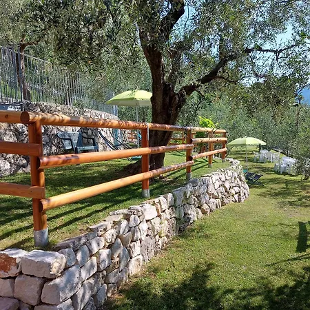 Ulivi Sul Garda Garden By Gardadomusmea
