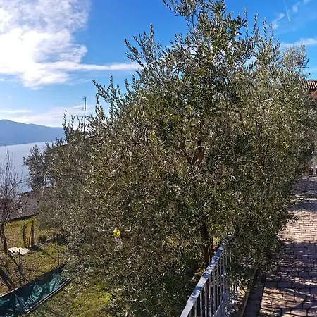 Ulivi Sul Garda Garden By Gardadomusmea 아파트 Tremosine