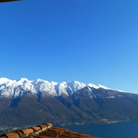Ulivi Sul Garda Garden By Gardadomusmea 아파트