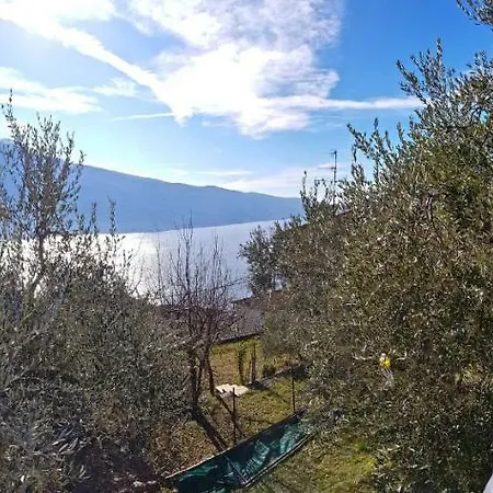 Ulivi Sul Garda Garden By Gardadomusmea Διαμέρισμα Tremosine